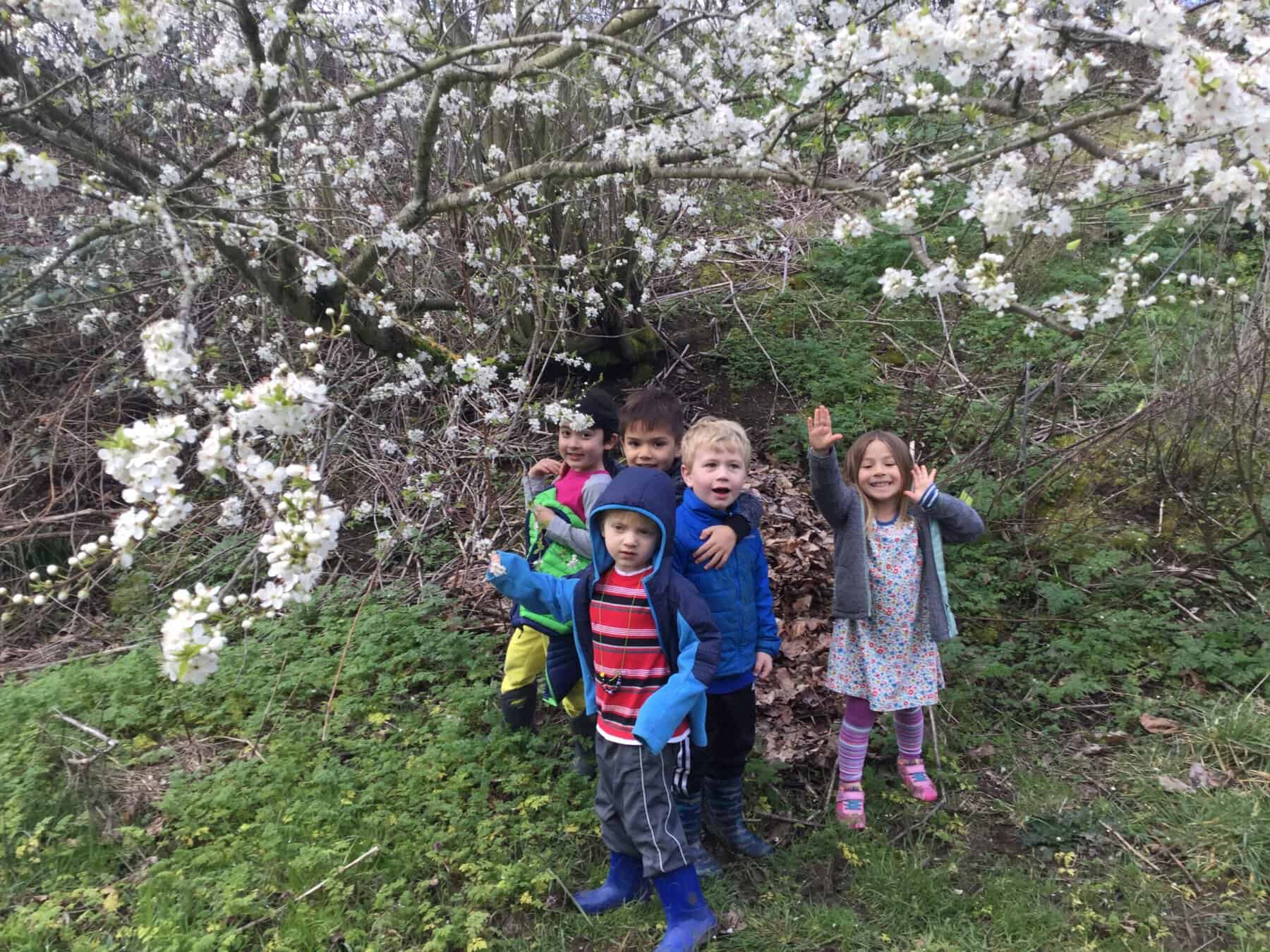 Kids under a blossoming tree