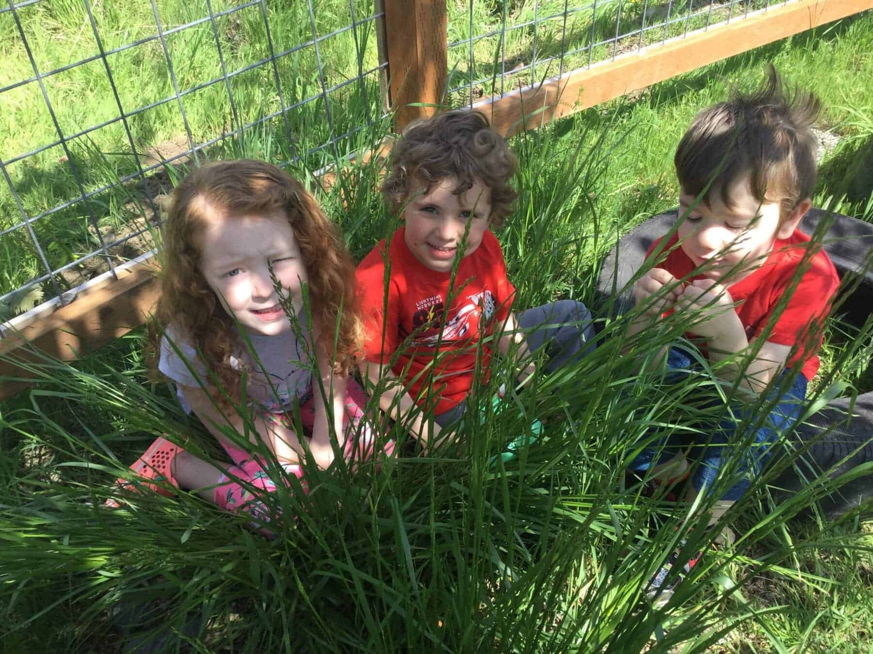 Children playing in the grass