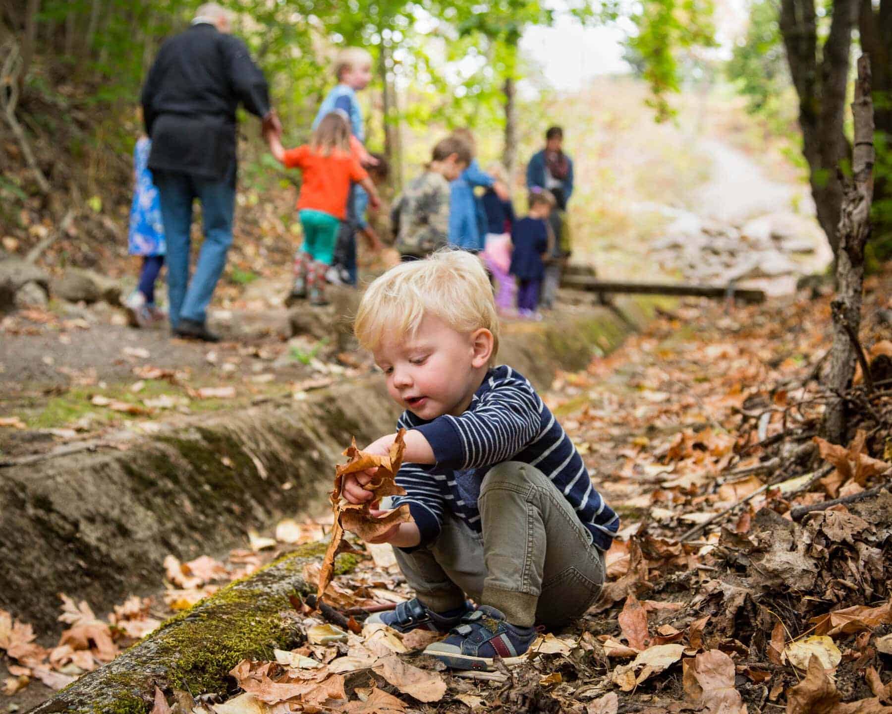 Young boy playing with leaves