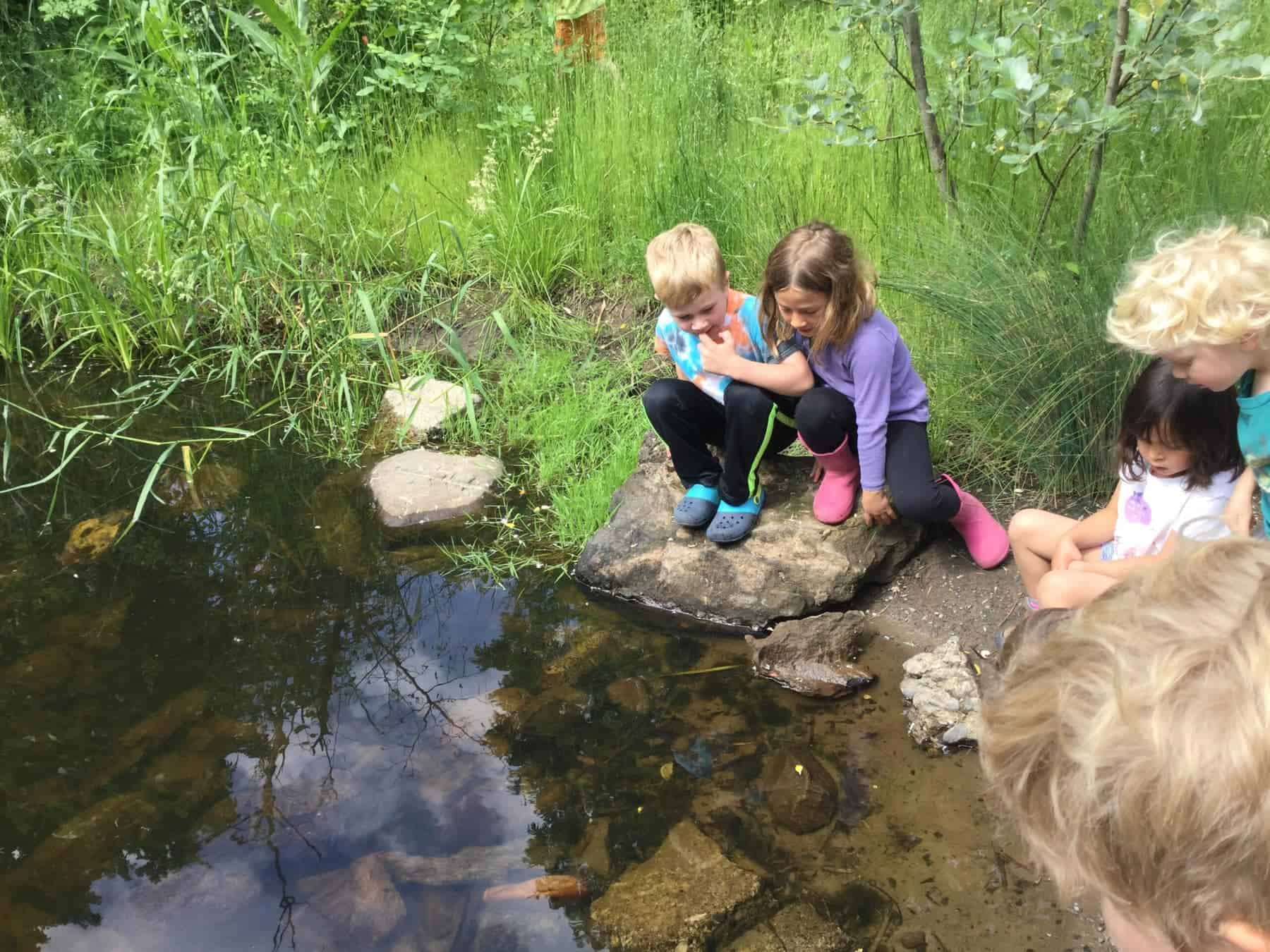 Children exploring a pond at Frog Song Preschool