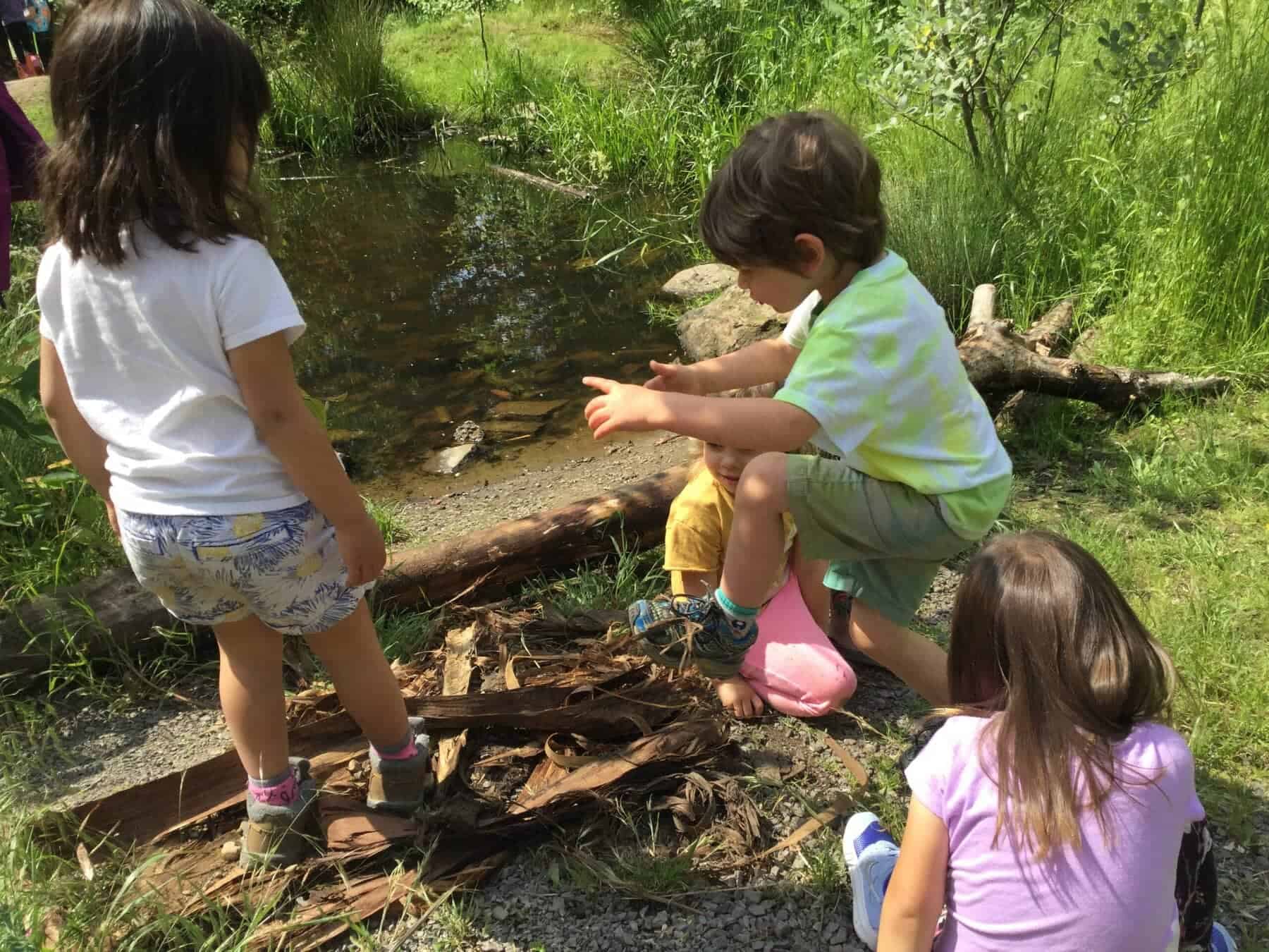 Children playing by a pond