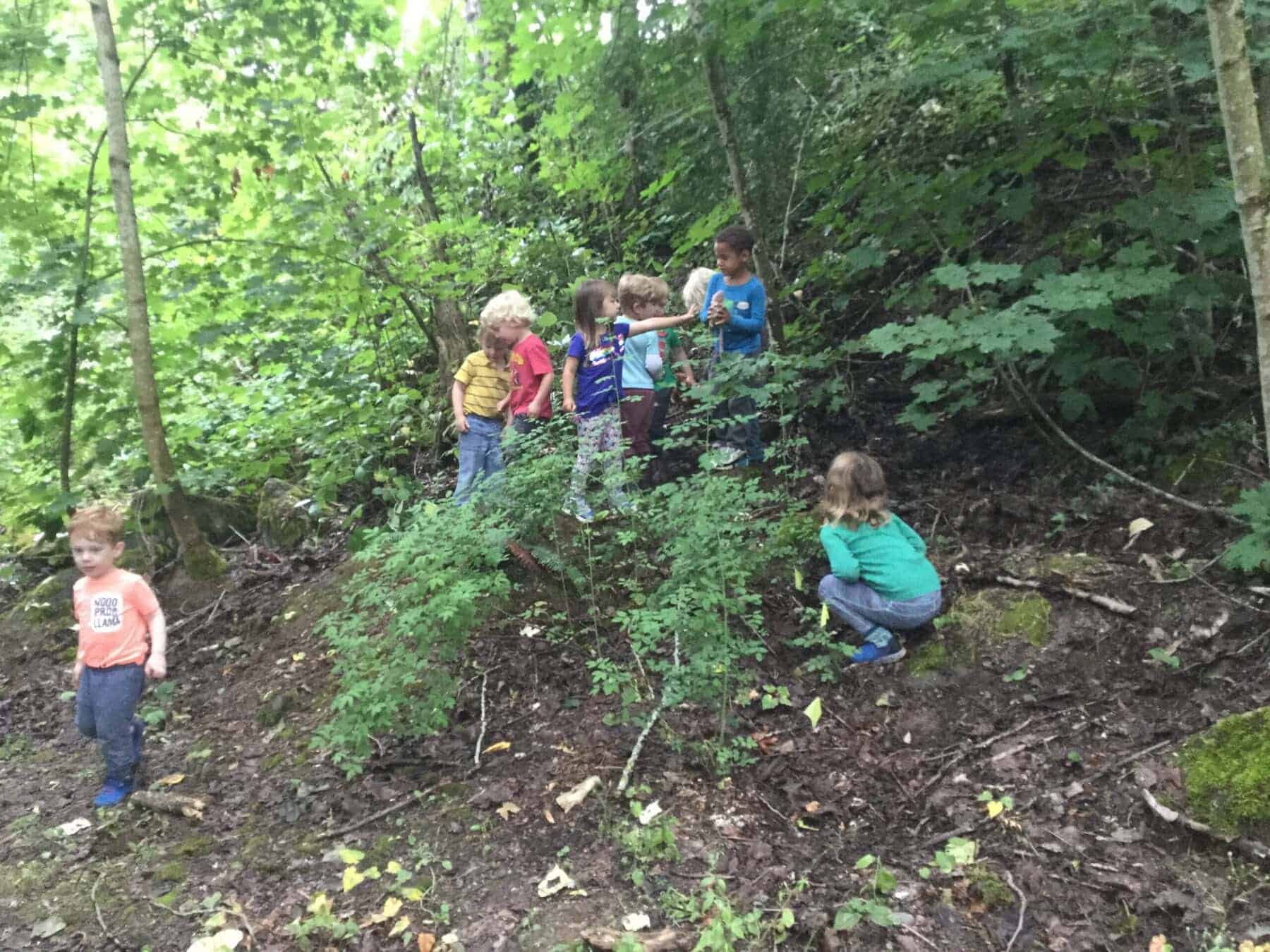 Children exploring woods