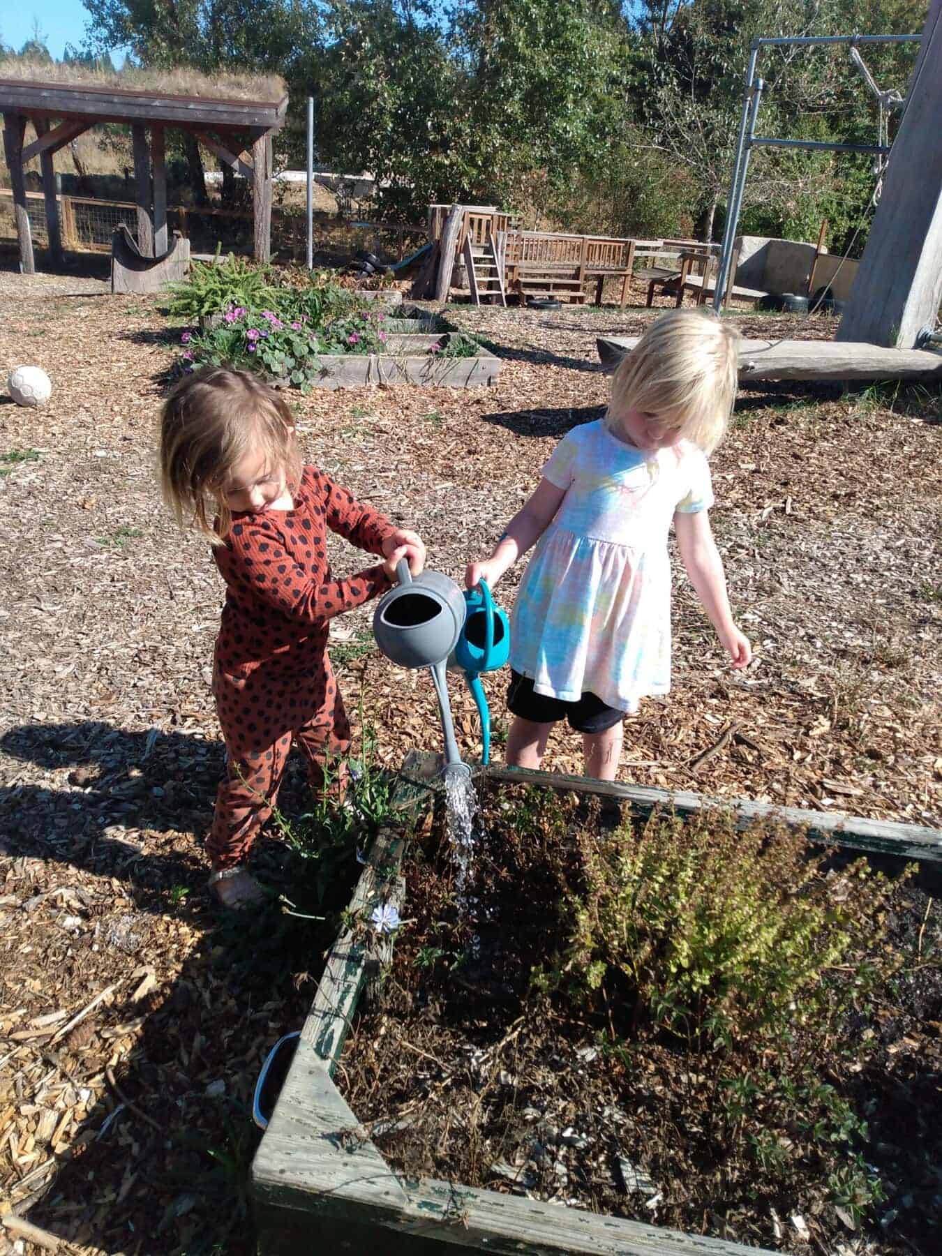 Children playing in a garden